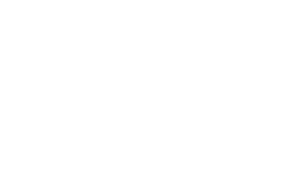 applevalley solstice logo white